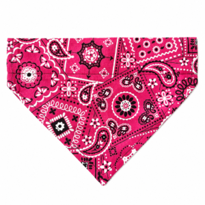Dog Bandana-Collar Slip-Pink Paisley